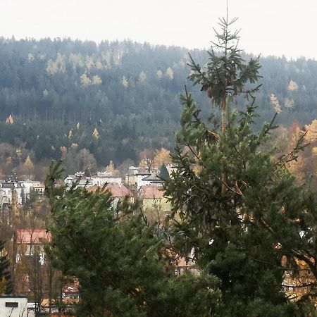 Apartament Irysek Lądek-Zdrój Zewnętrze zdjęcie